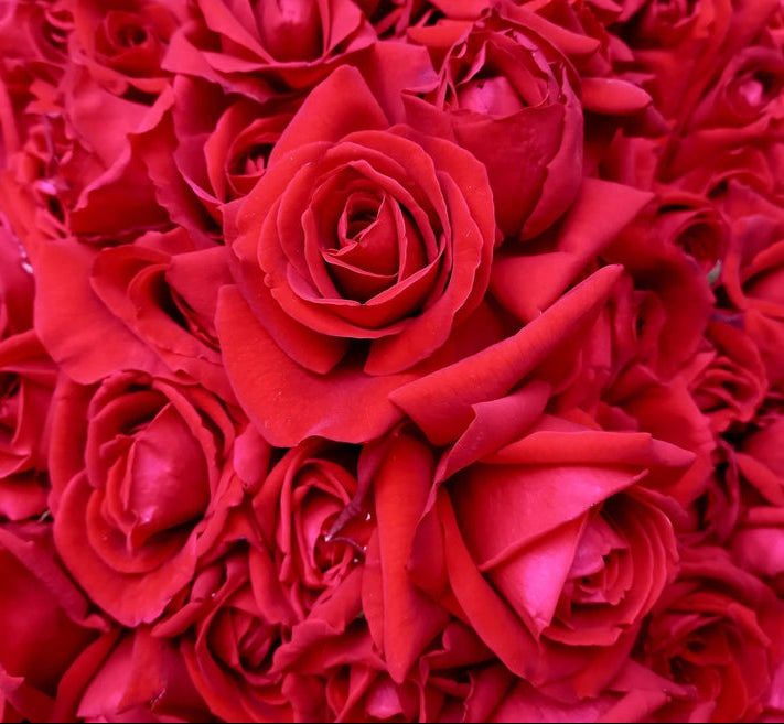 When words aren't enough, choose our Ultimate Bouquet, a thoughtfully curated "work of art" (Limited Offering)